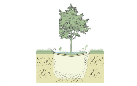 Viser illustration med træ, hvor der nedsives omkring